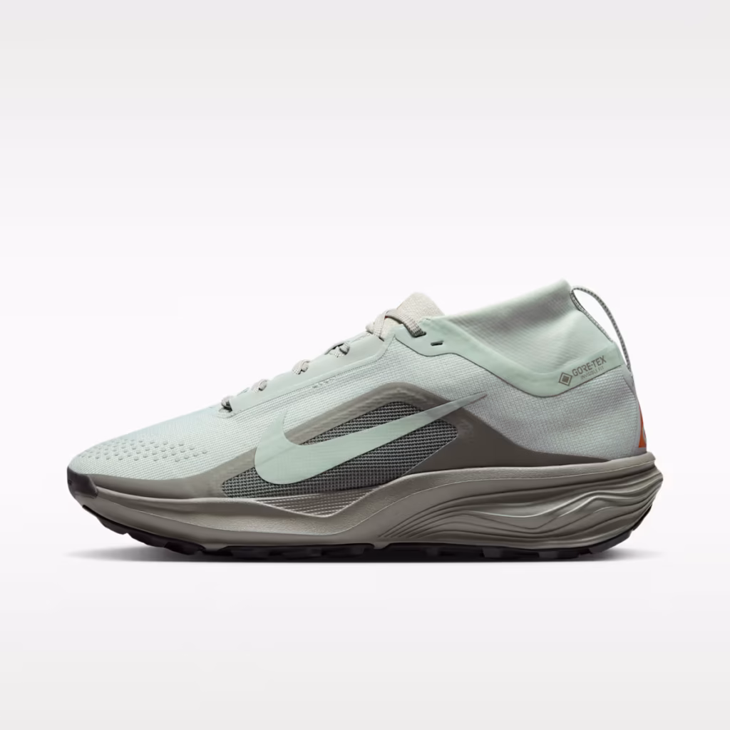 NIKE Pegasus Trail 5 GORE-TEX